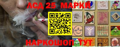 шишки Кандалакша