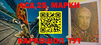 шишки Кандалакша